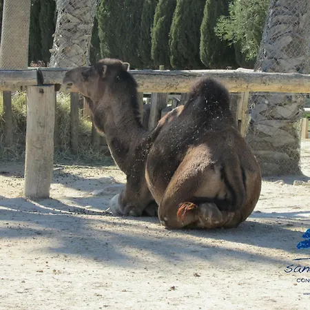 Hébergement de vacances Sandilou Les Petits Bonheurs Sigean