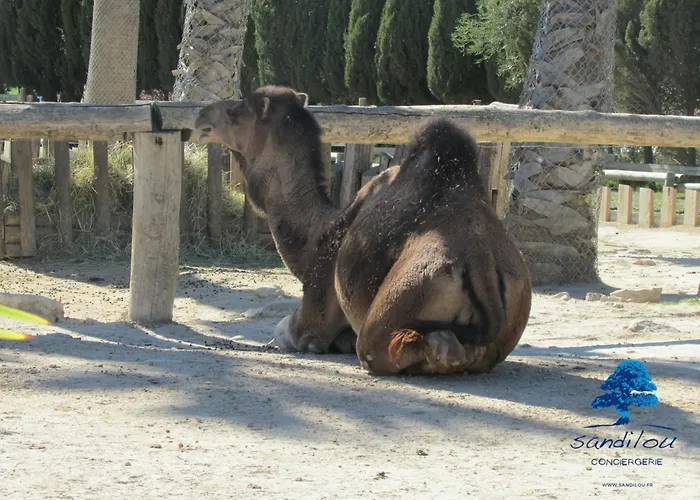 Сasa de vacaciones Sandilou Lespetitsbonheurs 2 Climatise Tv Sigean