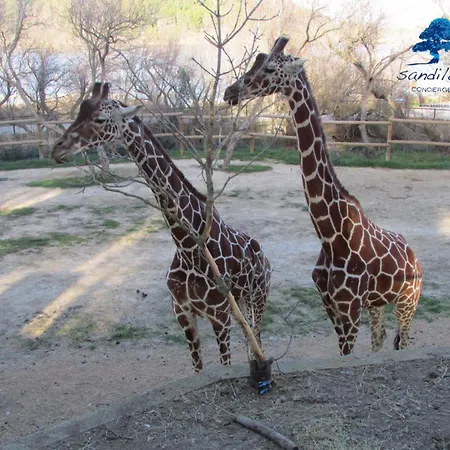 Sandilou Lespetitsbonheurs 2 Climatise Tv Sigean