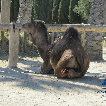 Sandilou Lespetitsbonheurs 2 Climatise Tv Сasa de vacaciones